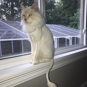 Meet your Posher, Christy